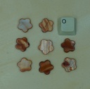 Fleur de nacre plate