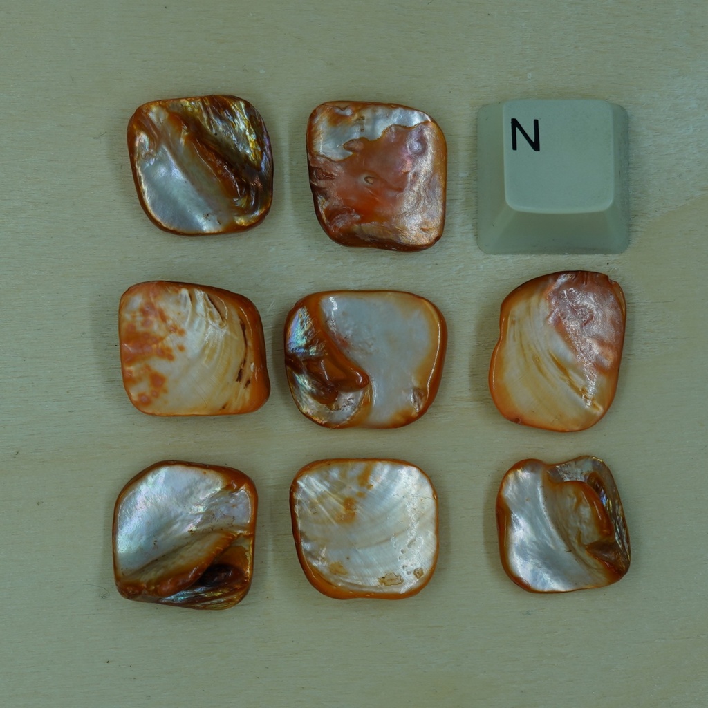 Chips coquillage orange