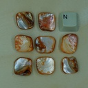 Chips coquillage orange