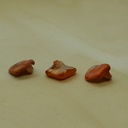 Chips coquillage orange