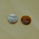 Pendentif coquillage ovale