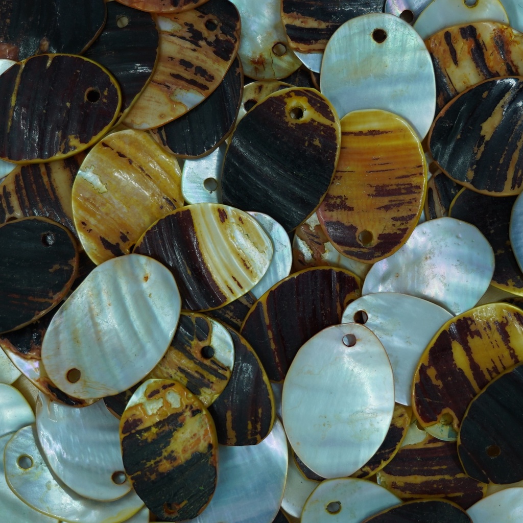 Pendentif coquillage ovale