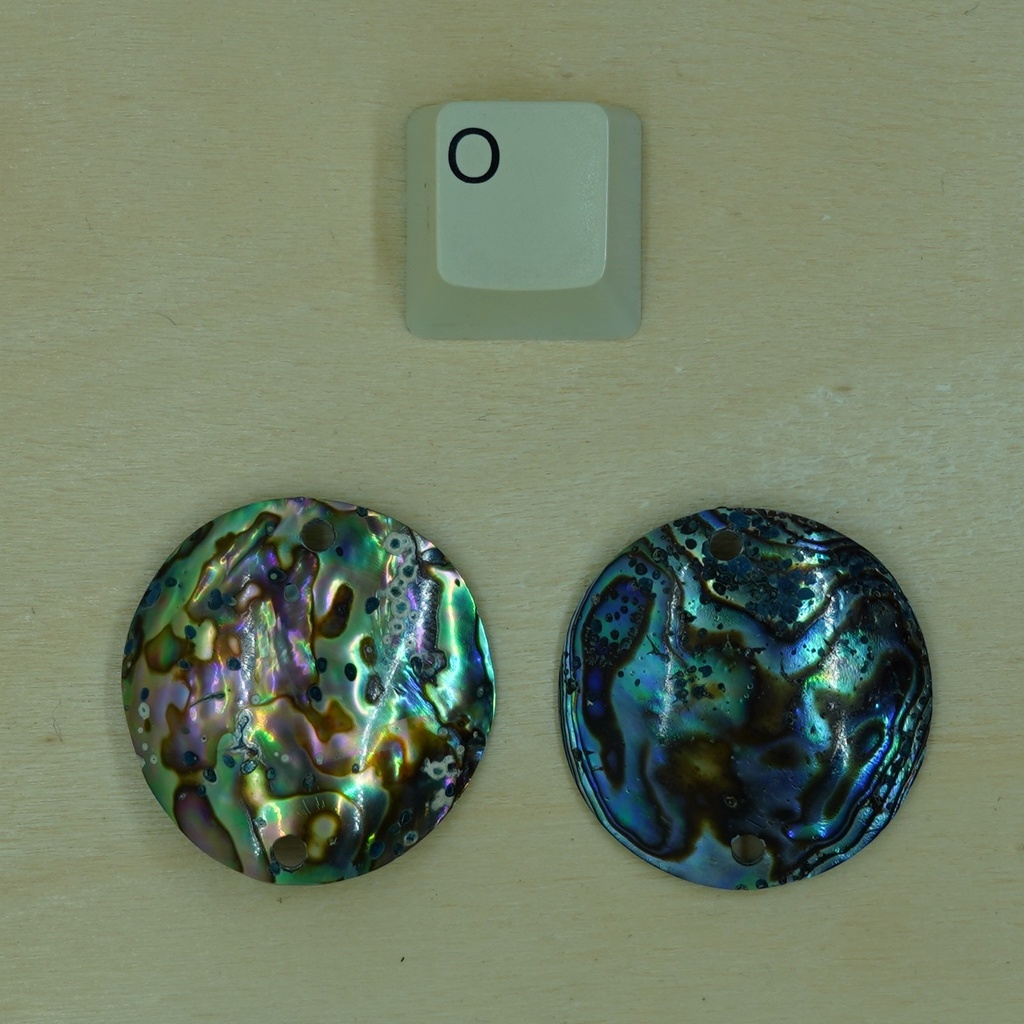 Disque en coquillage d'ormeau 2 trous