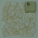 Chips coquillage blanc