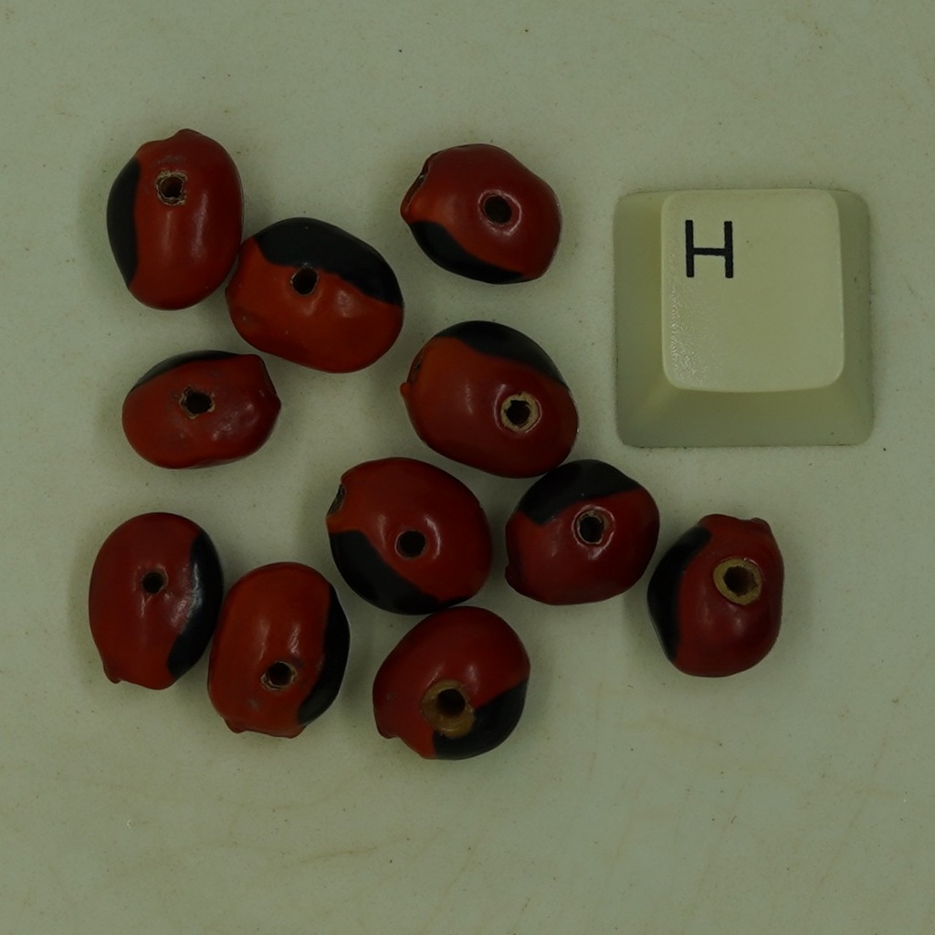 Graine de Huayruro percée sur sa hauteur