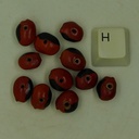 Graine de Huayruro percée sur sa hauteur
