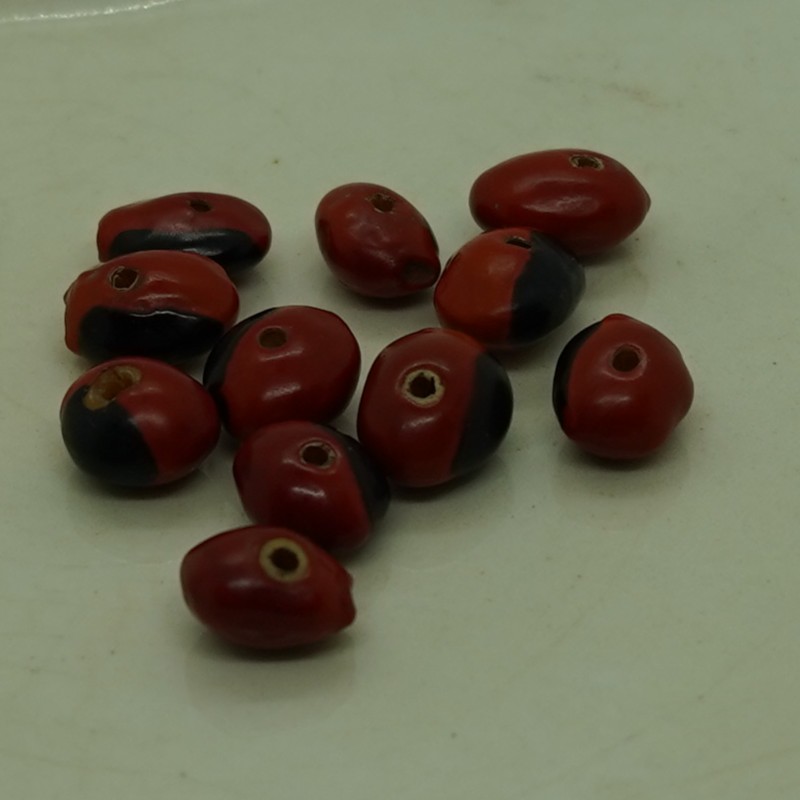 Graine de Huayruro percée sur sa hauteur