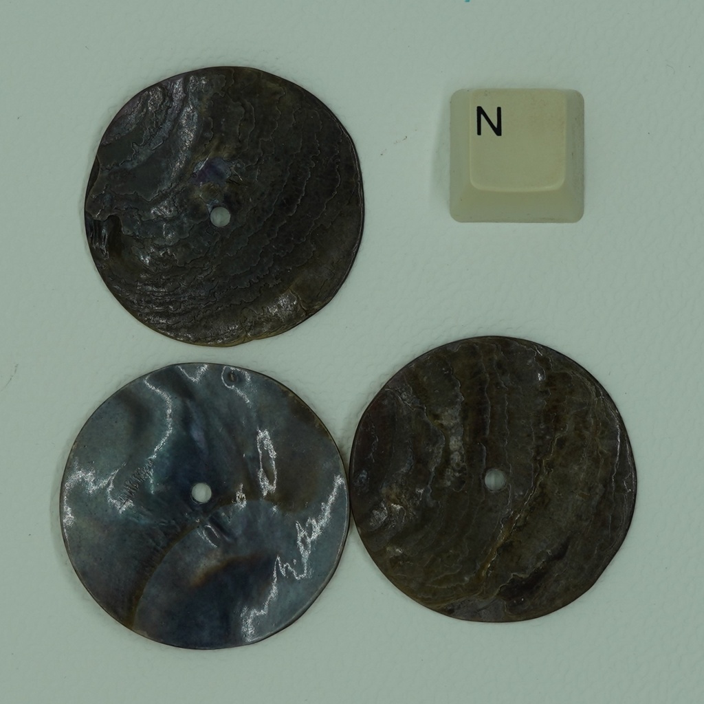 Disque en coquillage de 40 mm