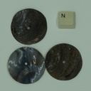 Disque en coquillage de 40 mm