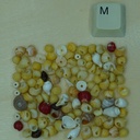 Mix mini coquillages