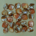 Chips coquillage orange