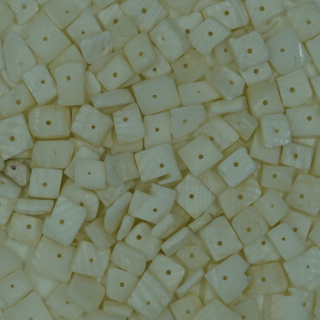 Chips coquillage blanc