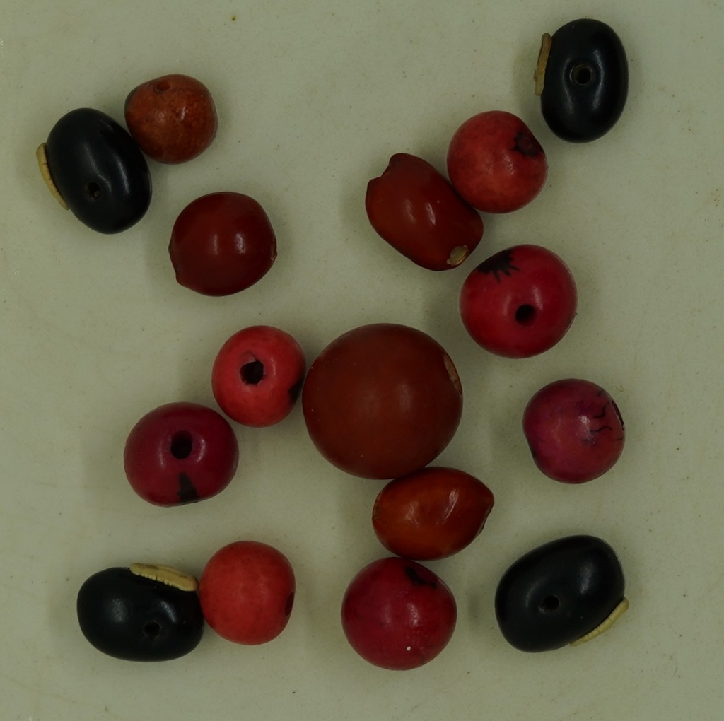 Graine percée