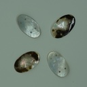 Ovale en coquillage marron 4 trous