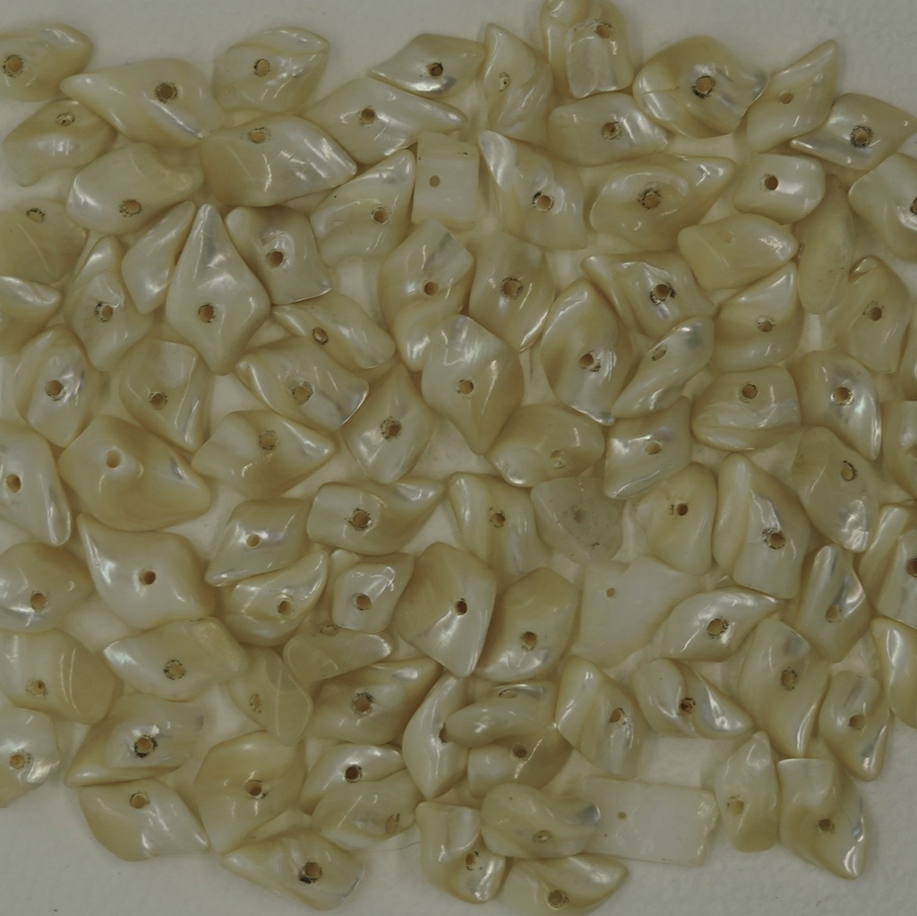 Chips de coquillage blanc nacré