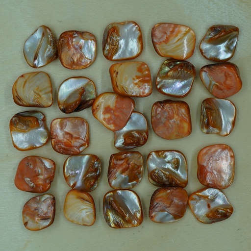 [Nat-00014] Chips coquillage orange