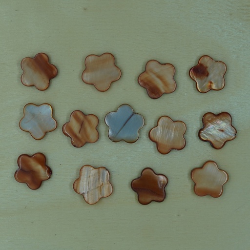 [Nat-00015] Fleur de nacre plate