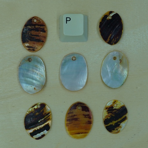 [Nat-00016] Pendentif coquillage ovale
