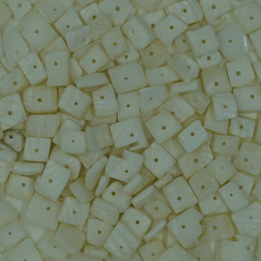 [Nat-00021] Chips coquillage blanc