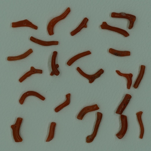 [Nat-00022] Corail